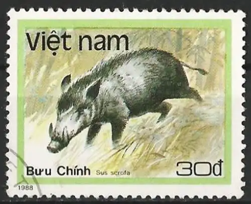 Vietnam 1988 - Mi 1986 - YT 881 - Tierwelt : Wildschwein