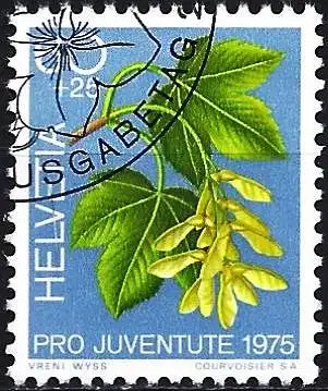 Schweiz 1975 - Mi 1066 - YT 998 - Pro-Juventute : Blume von Großer Ahorn