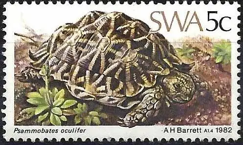 Südwestafrika 1982 - Mi 516 - YT 473 - Schildkröte - MNH