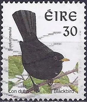 Irland 1999 - Mi 1051 IyC - YT 1038c - Vogel : Amsel ( Gezähnt 14 x 15 - Phosphorrahmen )