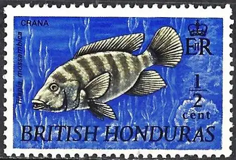 Britisch-Honduras 1968 - Mi 231 - YT 216A - Fisch