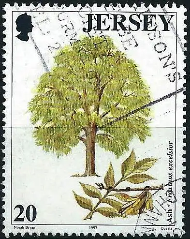 Jersey 1997 - Mi 793 - YT 793 - Baum : Asche