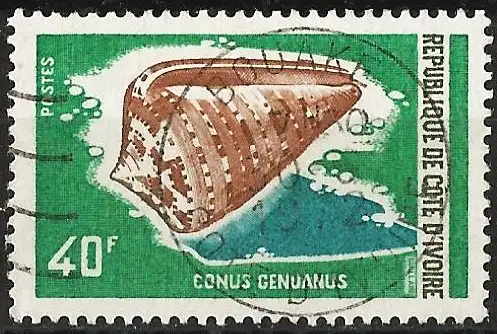Elfenbeinküste 1971 - Mi 378 - YT 316 - Muschel