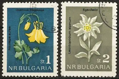 Bulgarien 1963 - Mi 1407/08 - YT 1208/09 - Blume