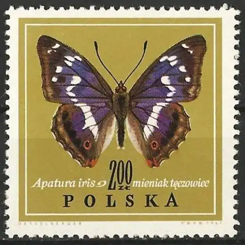 Polen 1967 - Mi 1801 - YT 1655 - Schmetterling MNH
