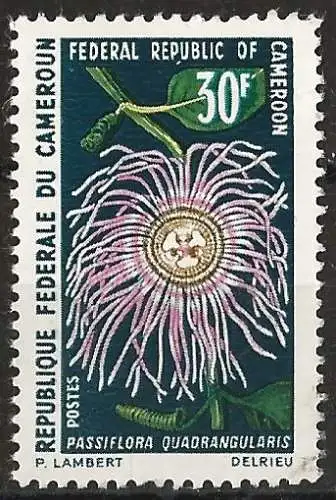 Kamerun 1970 - Mi 607 - YT 482 - Blume 