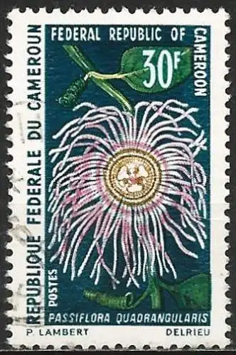 Kamerun 1970 - Mi 607 - YT 482 - Blume 