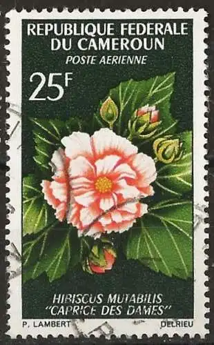 Kamerun 1966 - Mi 466 - YT Pa 81 - Blume : Hibiscus - Flugpost 
