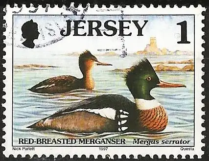 Jersey 1997 - Mi 765 - YT 759 - Vogel : Ente