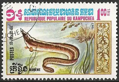 Kamputschea 1983 - Mi 529 - YT 429 - Fisch : Muräne