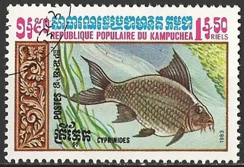 Kamputschea 1983 - Mi 527 - YT 430 - Fisch : Karpfen