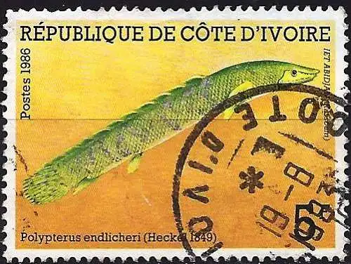 Elfenbeinküste 1986 - Mi 920 - YT 763 - Fisch