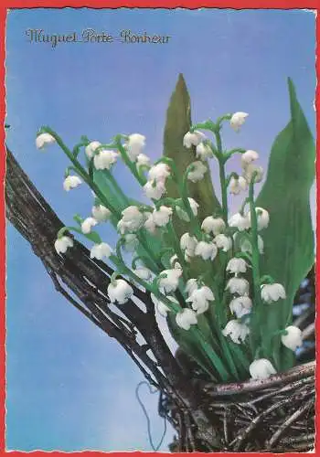 [Ansichtskarte] Blumen : Maiglöckchen / Fleurs : Muguet / Flowers : Lily of the valley. 