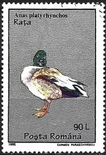 Rümanien 1995 - Mi 5111 - YT 4269 - Vogel : Ente