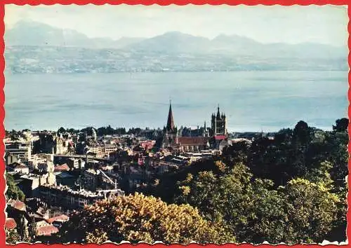 [Ansichtskarte] Schwein - Lausanne und Genfer See
Suisse / Switzerland. 