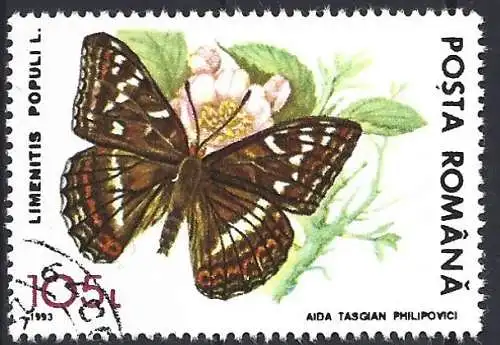 Rümanien 1993 - Mi 4899 - YT 4092 - Schmetterling