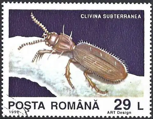 Rümanien 1993 - Mi 4942 - YT 4124 - Insekt