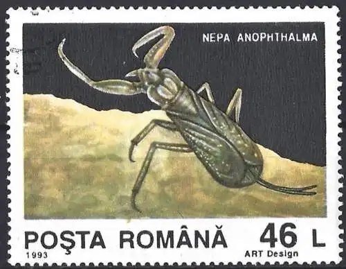 Rümanien 1993 - Mi 4943 - YT 4125 - Insekt
