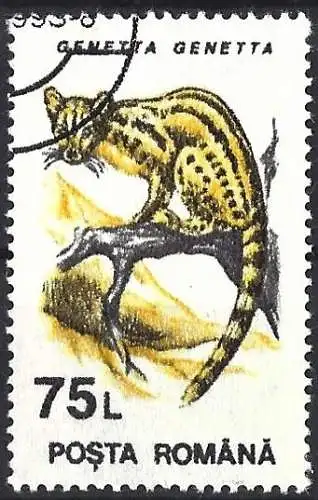 Rümanien 1993 - Mi 4907 - YT 4100 - Tierwelt : Ginsterkatze