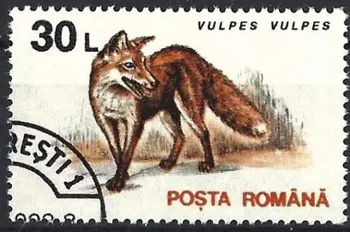 Rümanien 1993 - Mi 4905 - YT 4098 - Tierwelt : Fuchs