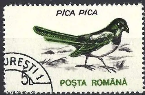 Rümanien 1993 - Mi 4875 - YT 4065 - Vogel 