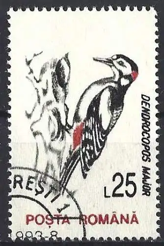 Rümanien 1993 - Mi 4879 - YT 4069 - Vogel 
