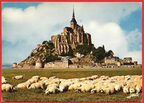 [Ansichtskarte] Manche ( 50 ) Mont Saint-Michel : Moutons Pré-salés /
Frankreich : Schafen von Salzwiese. 