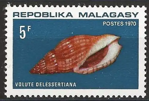 Madagaskar 1970 - Mi 618 - YT 477 - Muschel - MNH