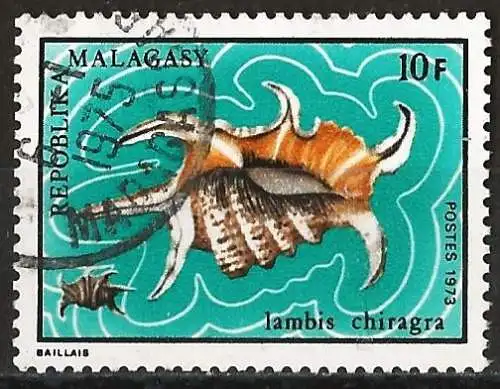 Madagaskar 1973 - Mi 676 - YT 517 - Muschel 