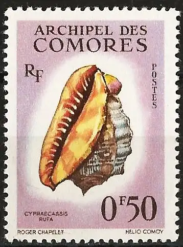 Komoren 1970 - 1962 - Mi 42 - YT 19 - Muschel - MNH