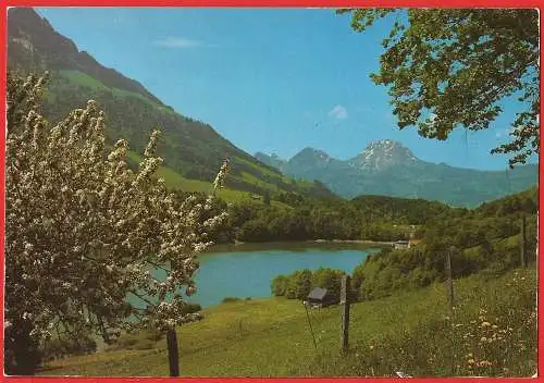 [Ansichtskarte] Schweiz - Gruyère : Montsalvens-See. 