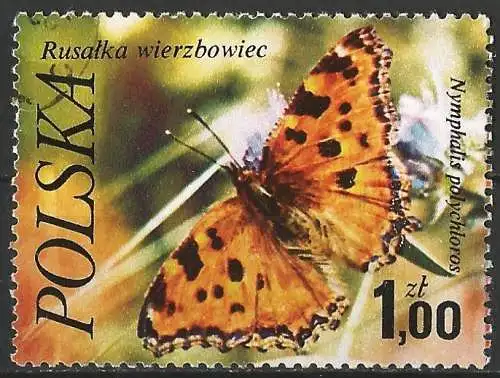 Polen 1977 -  Mi 2517 - YT 2346 - Schmetterling