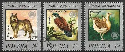 Polen 1977 -  Mi 2504/06 - YT 2334/36 - Fauna : Wolf, Falke und Outarde