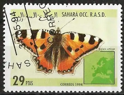 Westsahara 1994 - Schmetterling 