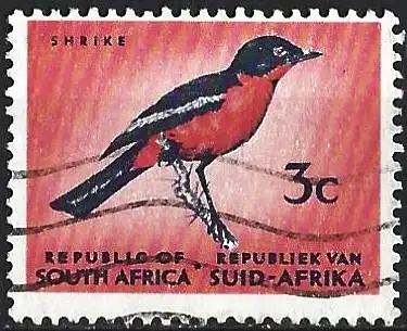 Südafrika 1961 - Mi 292 - YT 253 - Vogel