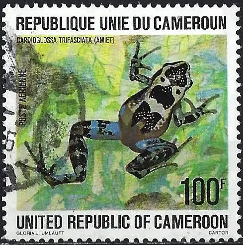 Kamerun 1978 - Mi 879 - YT Pa 281 - Frosch - Flugpost