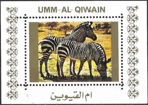 Umm al-Kaiwain 1972 - Mi 1372 AwBL - Tierwelt : Zebra- MNH ( Block 70 x 50 ) 