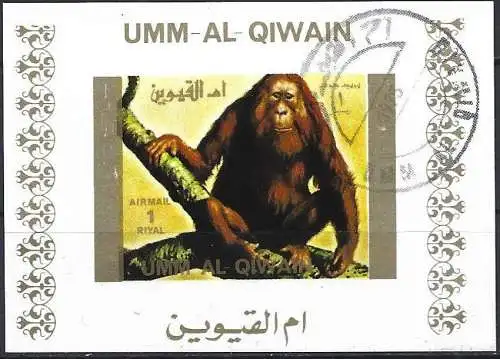 Umm al-Kaiwain 1972 - Mi 1532 BwBL - Affe : Orang-Utan ( Block 70 x 50 ) Ungezahnt