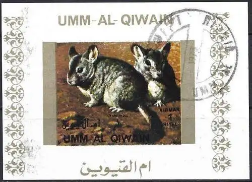 Umm al-Kaiwain 1972 - Mi 1543 BwBL - Tierwelt : Chinchillas ( Block 70 x 50 ) Ungezahnt