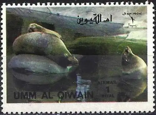 Umm al-Kaiwain 1972 - Mi 1132A - Seelöwen 