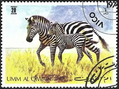 Umm al-Kaiwain 1971 - Mi 480A - Zebra