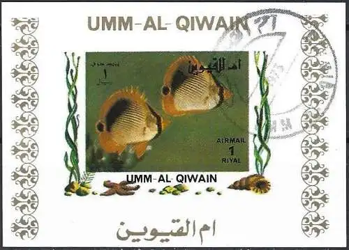 Umm al-Kaiwain 1972 - Mi 1481 BwBL - Fisch ( Block 70 x 50 ) Ungezähnt