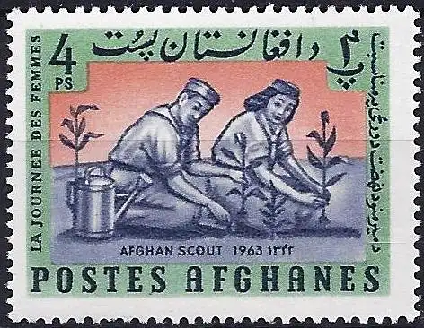 Afghanistan 1964 - Mi 830 - YT 772 - Scouting