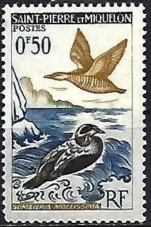 St. Pierre & Miquelon 1963 - Mi 398 - YT 364 - Vogel : Kormoran - MH