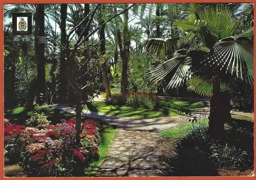 [Ansichtskarte] Spanien ( Comunidad Valenciana ) Alicante - Elche : botanischen Garten Huerto del cura /
Espagne : Jardin botanique. 