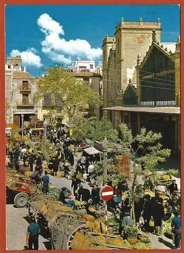 [Ansichtskarte] Spanien ( Comunidad Valenciana ) Castellon - Vinaroz : Market /
Espagne : Marché typique. 