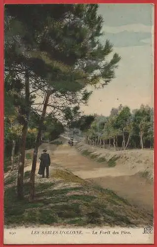 [Ansichtskarte] France - Vendée ( 85 ) Les Sables d Olonne : La Forêt des Pins  /
Frankreich : Der Pinienwald. 