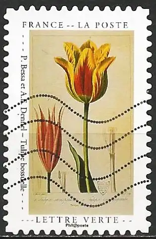 Frankreich 2020 - Mi 7546 - YT Ad1827 - Blume : Tulpe