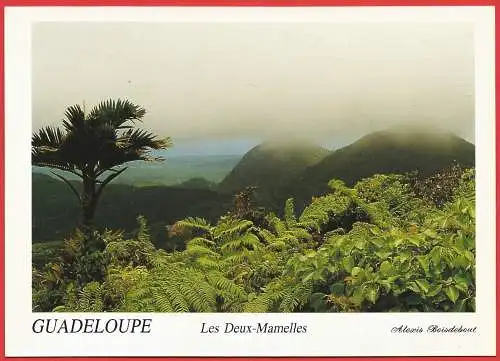 [Ansichtskarte] France - Guadeloupe ( 971 ) Montagnes de la Basse-Terre : Les Deux-Mamelles. 