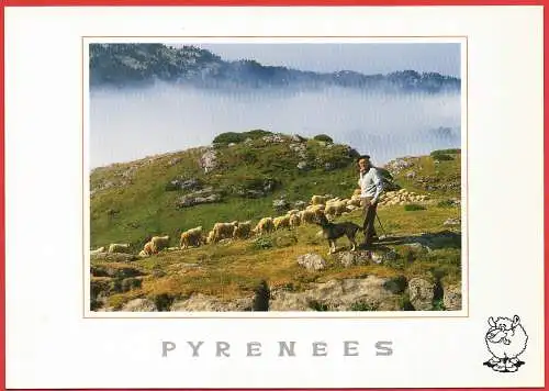 [Ansichtskarte] Agriculture : Berger et ses moutons dans les Pyrénées. 